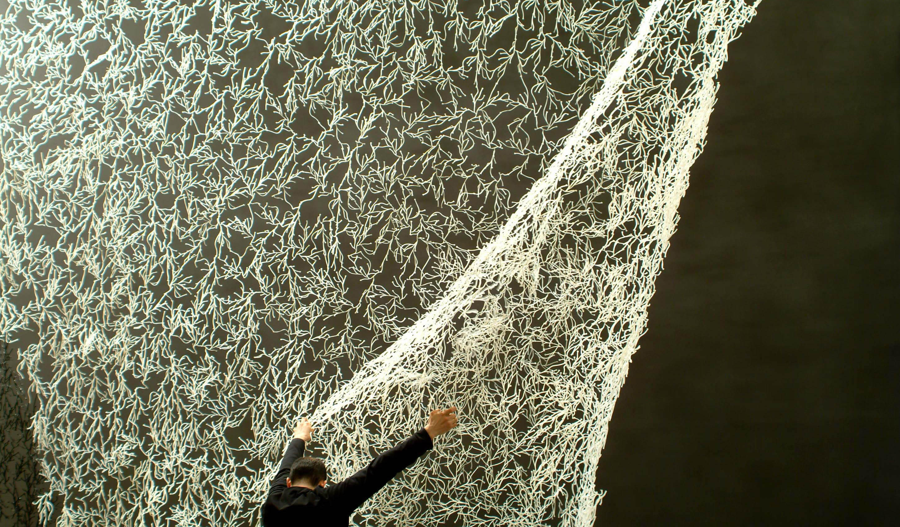 办公辅件|办公文具|办公火狐官方网站|火狐HUOHU（中国）火狐官方网站|海草办公饰品